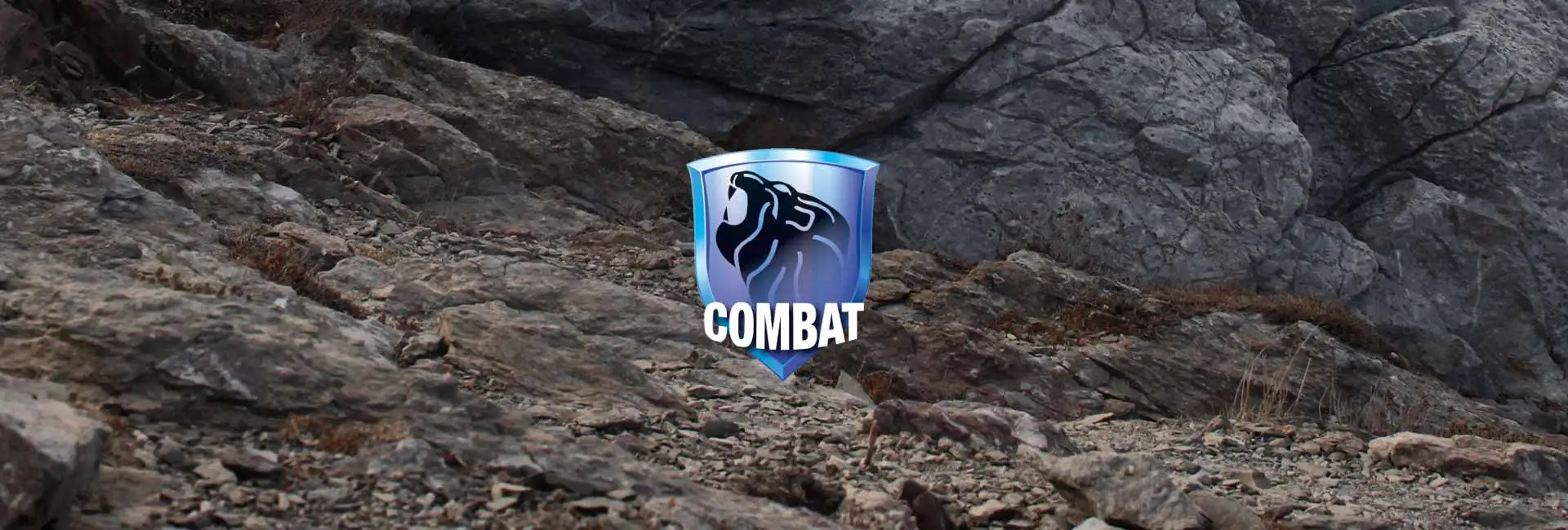 COMBAT